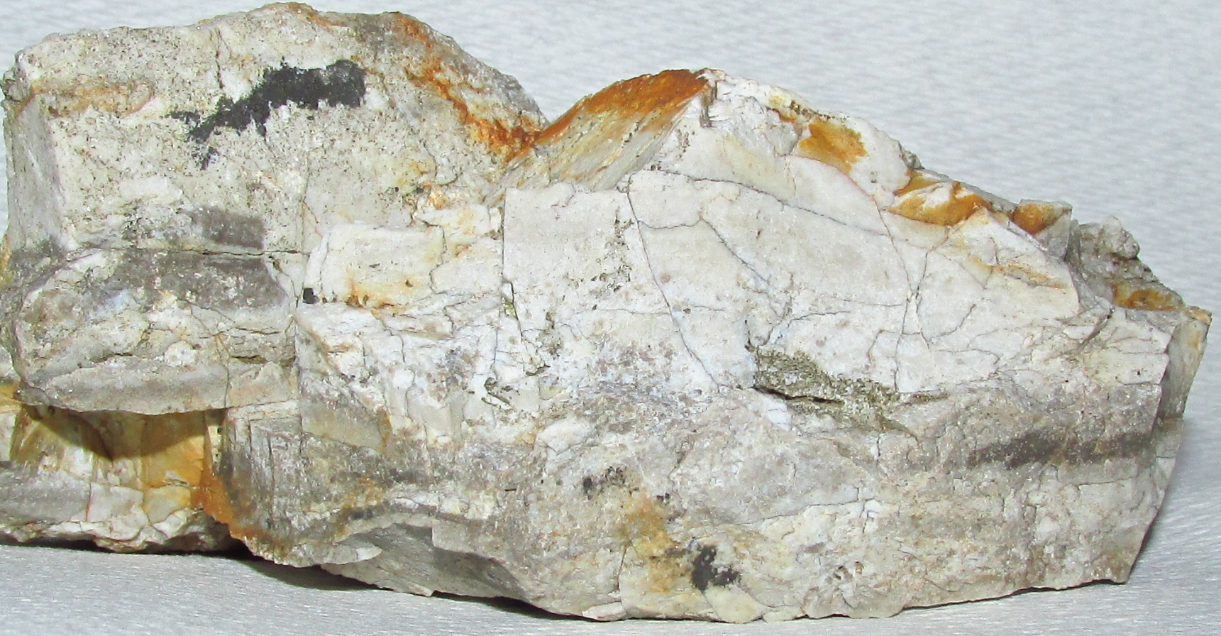 Stromatolite_Wyoming